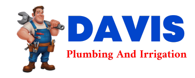 Trusted plumber in UEHLING